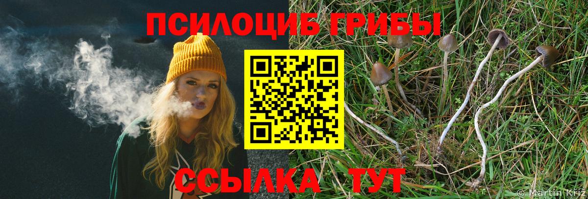 Псилоцибиновые грибы мухоморы Карпинск